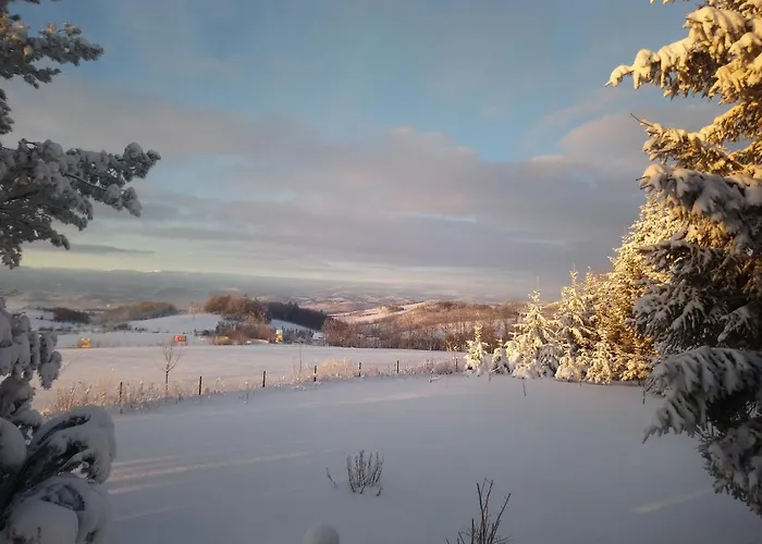 Karkonoski Widok 招待所 3*